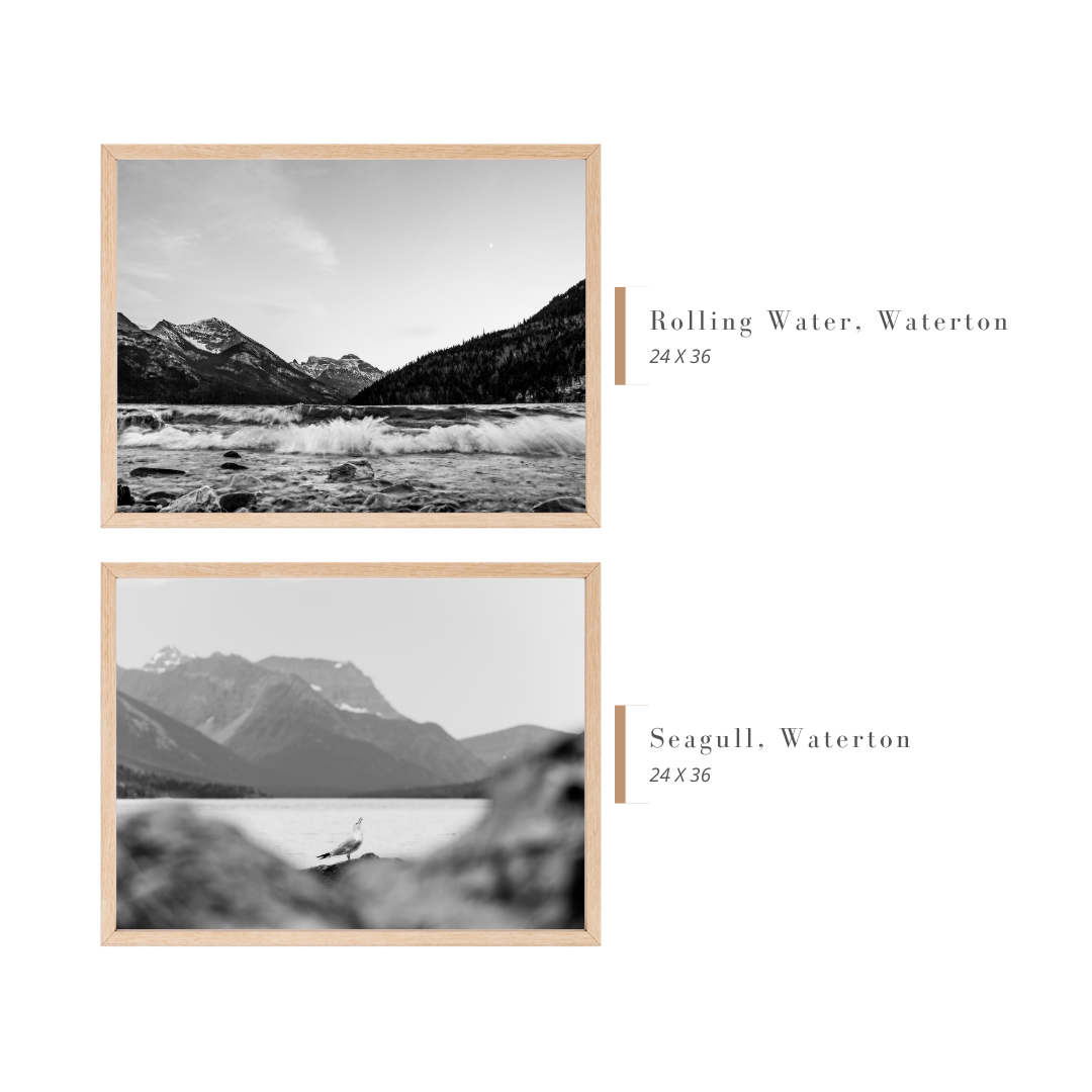 B & W Waterton Landscape 24 x 36" Art Print