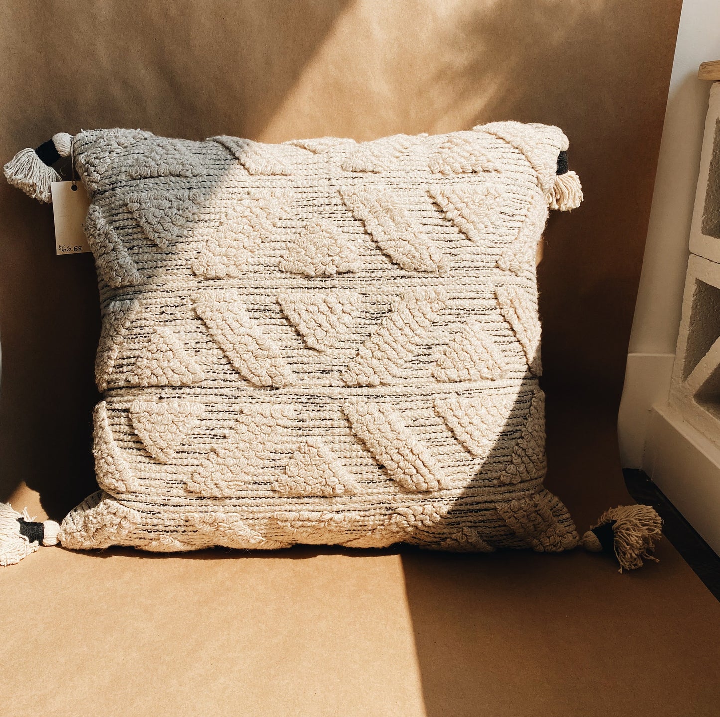 Large 22"x 22" Beige Throw Pillow for couch