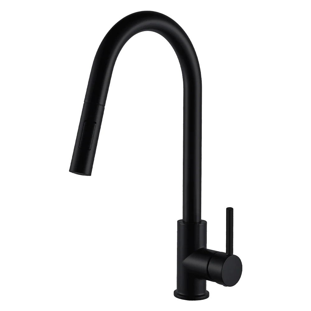 DAMIEN II Matte Black Kitchen Faucet