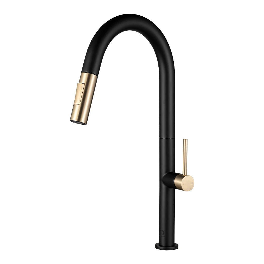 LENNOX II Ferreira Gold & Matte Black Kitchen Faucet